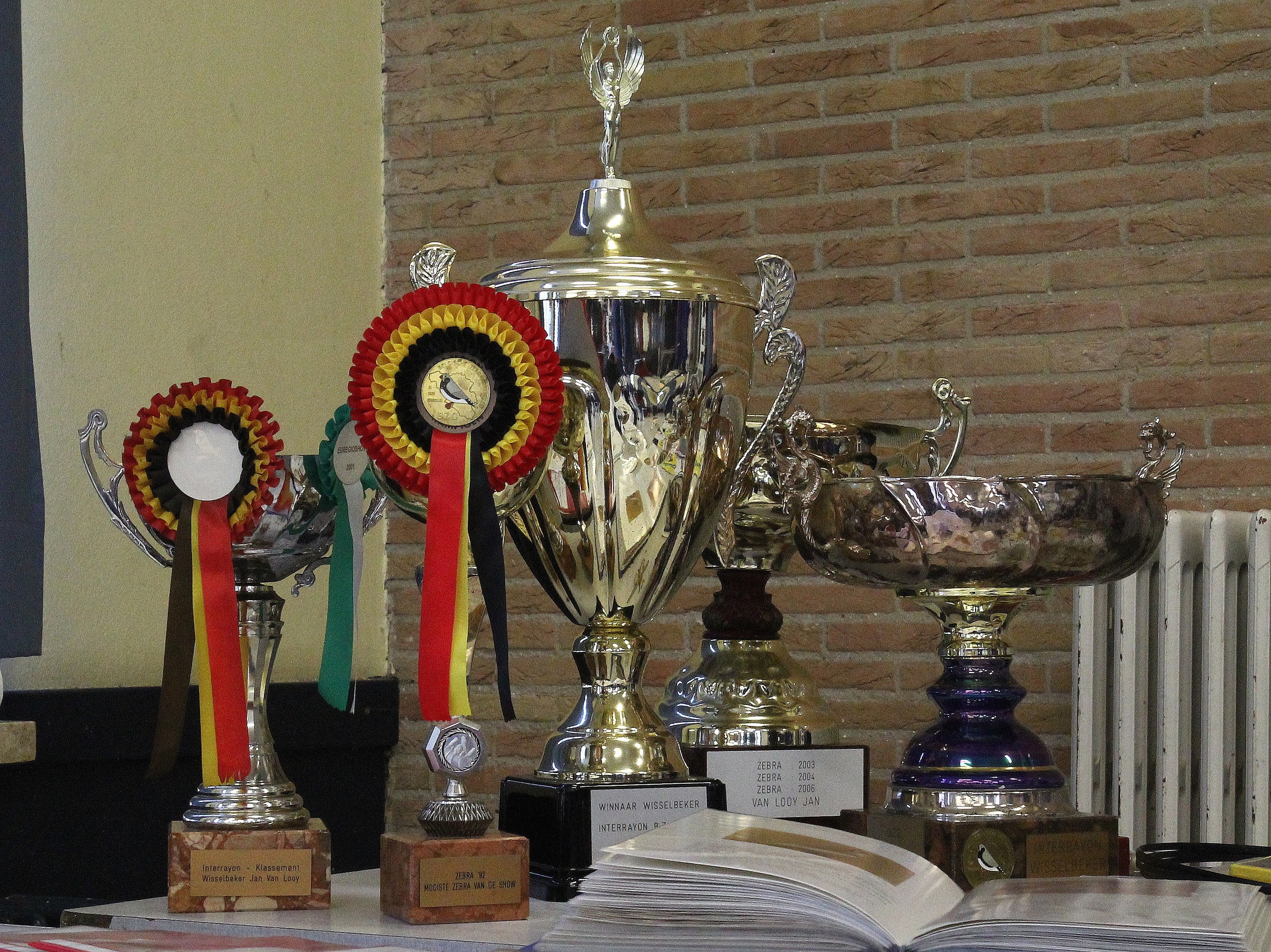 011-BOKALEN-BZC..jpg