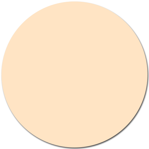 Bisque / #FFE4C4