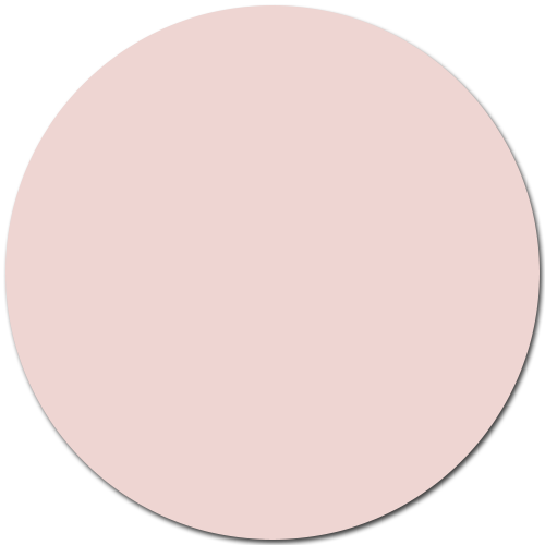 Rose razzle dazzle / #EED5D2