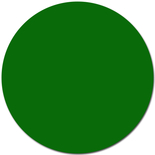 Vert bouteille / #096A09