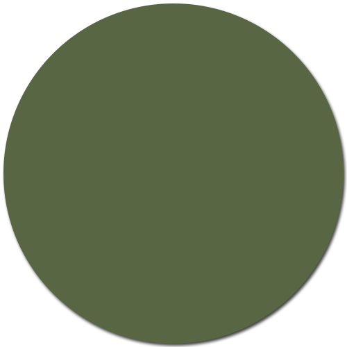 Vert militaire / #596643