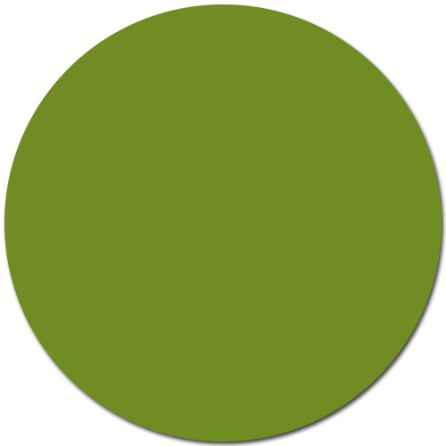 Vert olive / #708D23