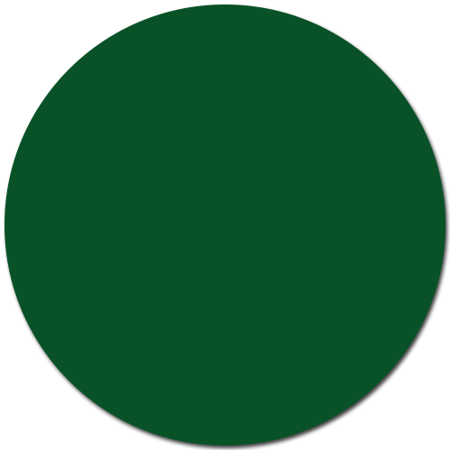 Vert sapin / #095228