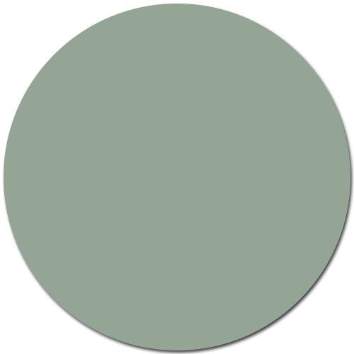 Vert-de-gris / #95A595