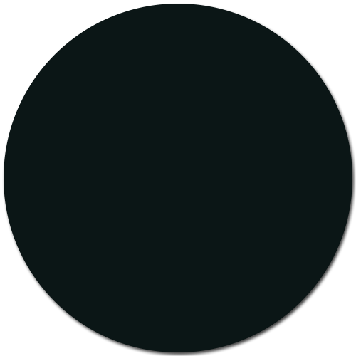 Dorian / #0B1616