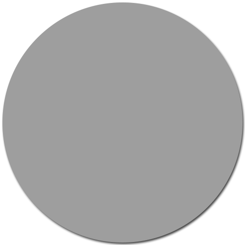 Gris souris / #9E9E9E