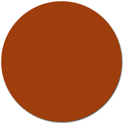 Auburn / #9D3E0C