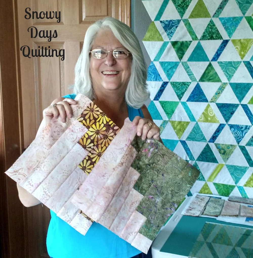 Mom's First Quilt — Snowy Days Quilting