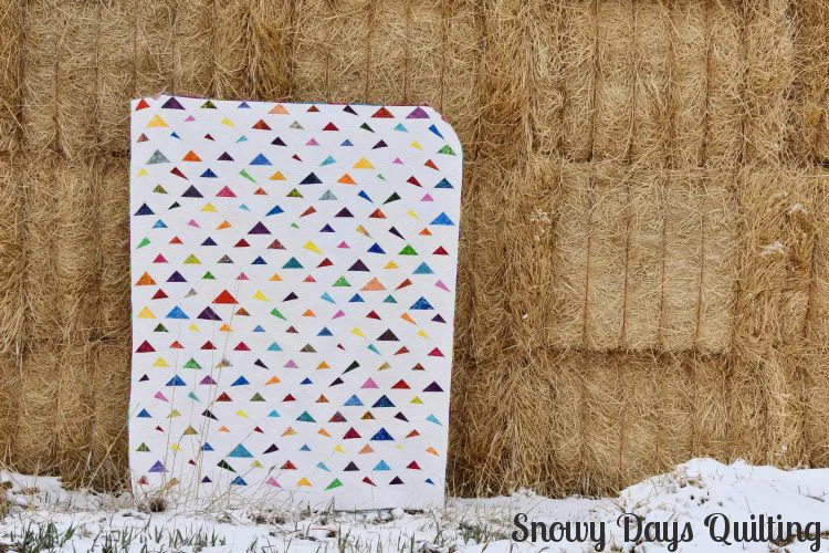 Jennae's Friendship Quilt — Snowy Days Quilting