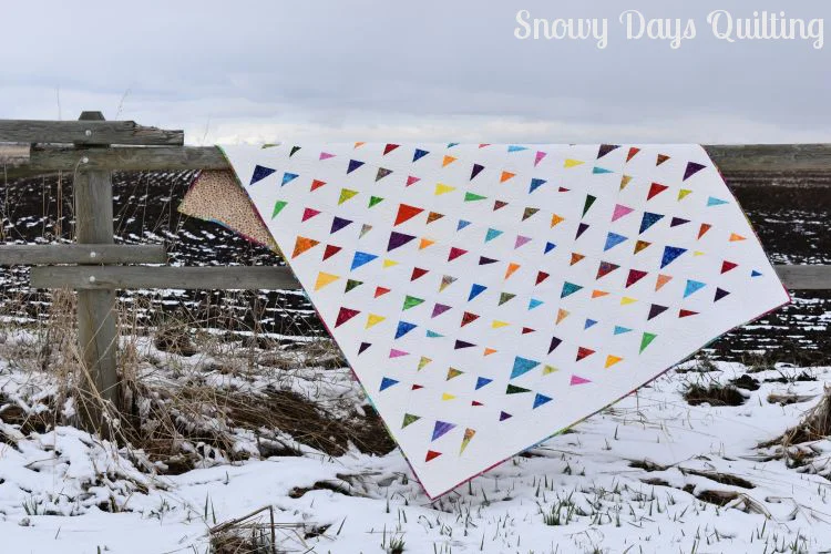 Jennae's Friendship Quilt — Snowy Days Quilting