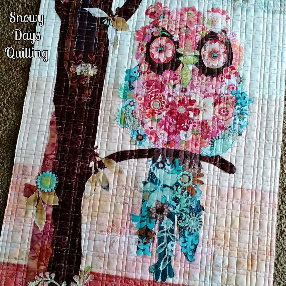 Cora the Common Owl