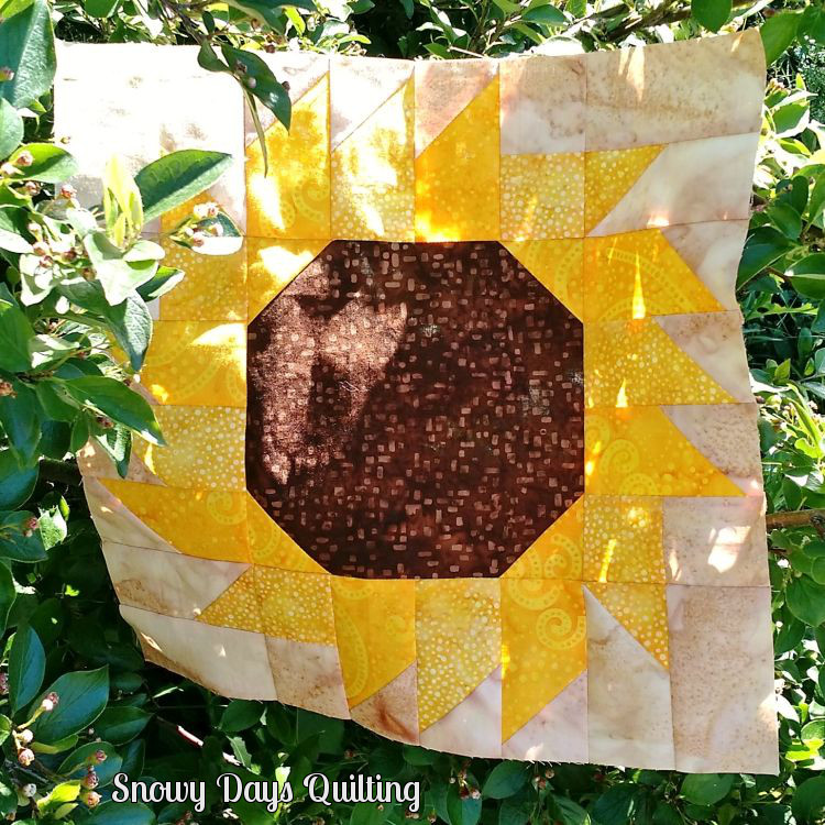 Block 4 - Sunflower