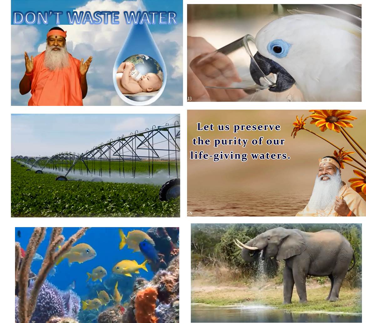 WATER2.jpg