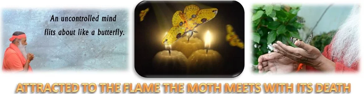 MOTHMAINPAGE.jpg