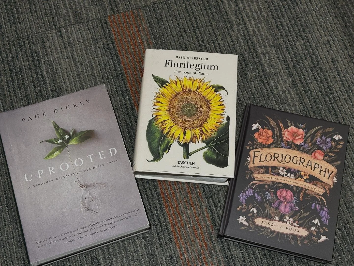 🌸Always wanted to learn about plants and gardening? Next weekend is your chance to get a bargain on books! We have these books and many more available at our book sale next weekend, June 7-8 from 11am-5pm at 20 Holyoke St.

See you there!