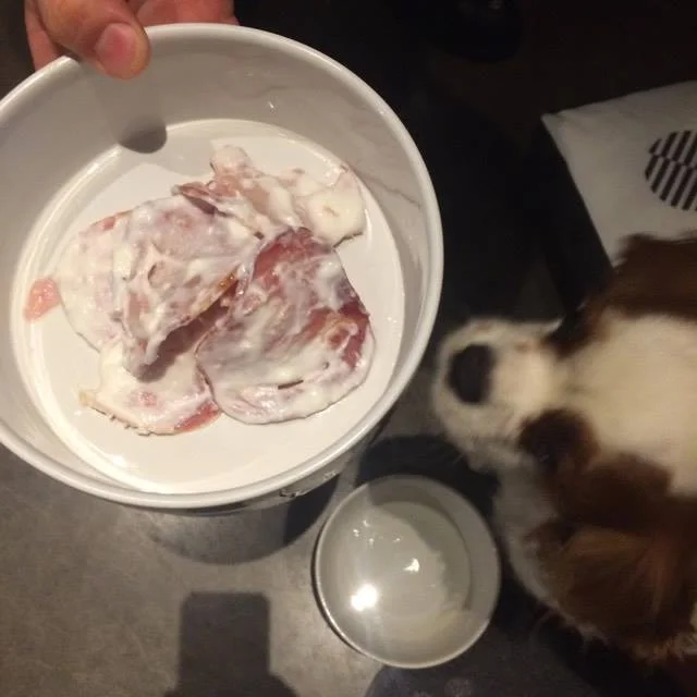 Vous avez dit petit? Certes mais le Cavalier King Charles est un estomac sur pattes d'où les tranches de bacon :)