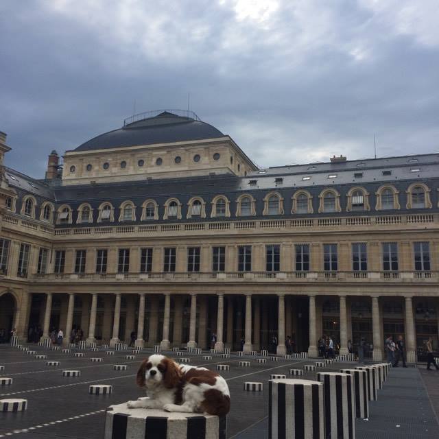 King Oscar trônant au sommet des colonnes de Buren , what else?
