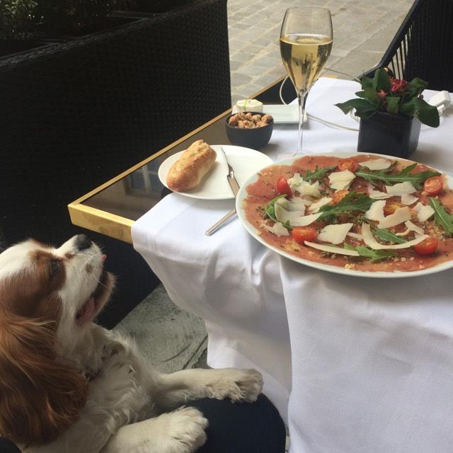 NEW!! Délicieux carpaccio accompagné d'une flûte de champagne Lenoble en terrasse chez Lulli, le restaurant du Grand Hôtel du Palais Royal