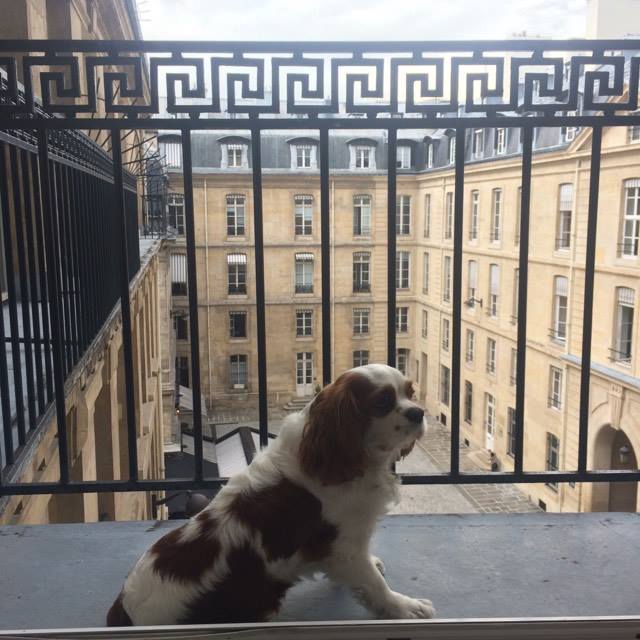 Chambre avec balcon et VUE!