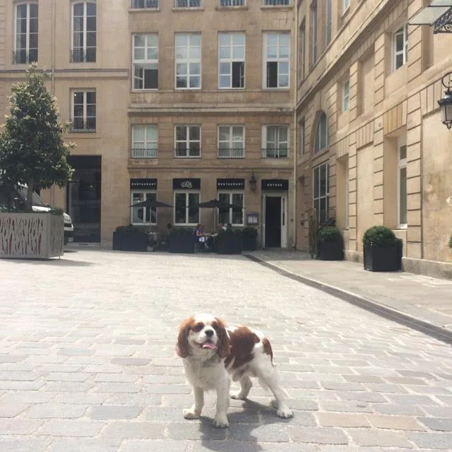 Oui je pose devant chez Lulli et je reste ici, ok Papa? 