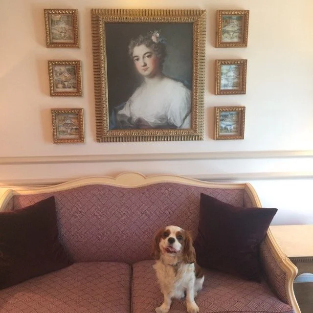 Décoré avec soin et respect pour le plus grand bonheur des amoureux du Beau, Oscar se prépare doucement pour aller dîner.