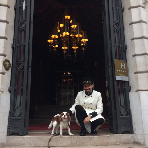A DEUX PAS DE L'OPÉRA GARNIER , DÉCOUVREZ LE SIÈGE D’UN ANCIEN ÉTABLISSEMENT BANCAIRE ET DIAMANTAIRE, JOYAU DU GROUPE DERBY HOTELS COLLECTION ; LUXE, CALME ET VOLUPTÉ!