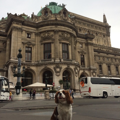 L'OPÉRA GARNIER , WHAT ELSE?
