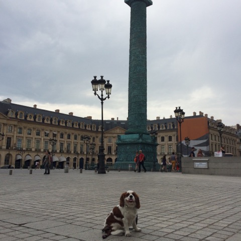 LA SUBLIME PLACE VENDÔME ET SES JOYAUX.