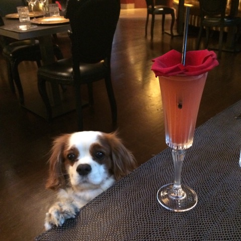 APRÈS L'EFFORT, LE RÉCONFORT; DIRECTION LE LOLABAR POUR DÉGUSTER UN "PRETTY WOMAN" (FRAISES, GINGER)
