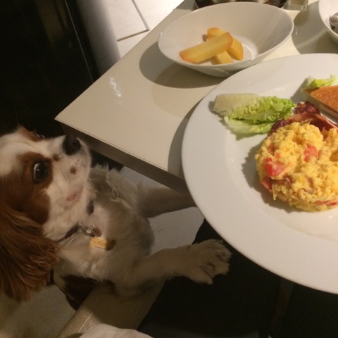 MOI, JE RESTERAI BIEN AU BANKE HÔTEL!