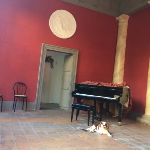 LA CASINA POMPEANA DU PALAZZO VENEZIA