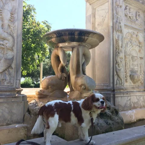 JARDINS DE LA VILLA COMUNALE