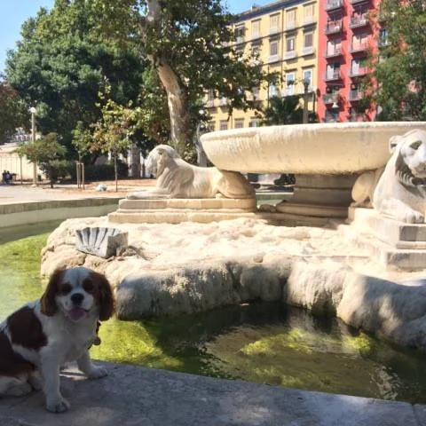 JARDINS DE LA VILLA COMUNALE