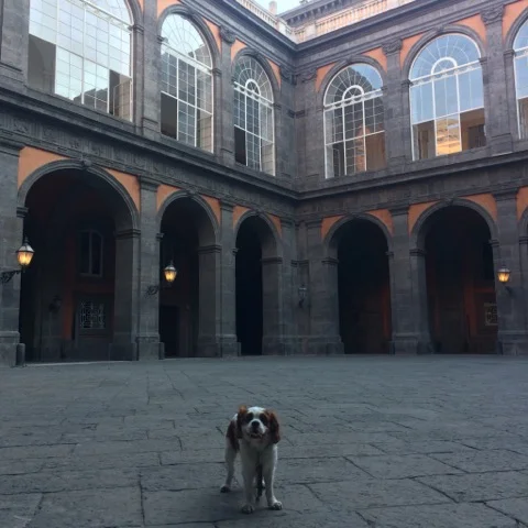 LE PALAIS ROYAL DE NAPLES