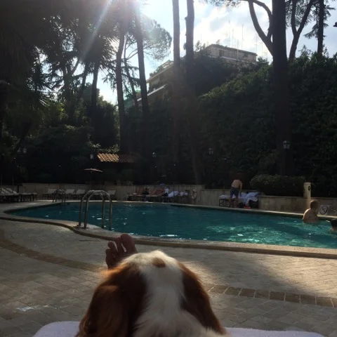 Dolce vita ! Rien de mieux qu'une bonne baignade après l'avion !