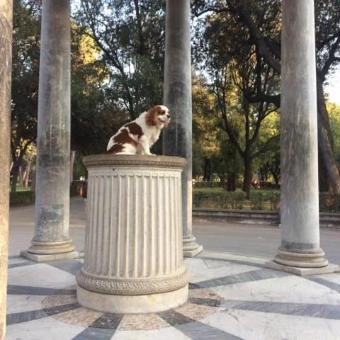 " Ceci n'est pas une statue "