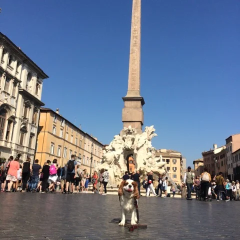 Hommage au Bernin , piazza Novana.
