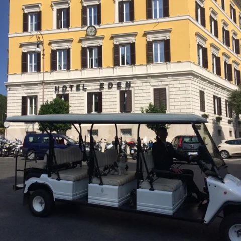 Toutes les 30mns, une voiture de l'Aldrovandi vous dépose ou vient vous chercher gratuitement à 100m de la Piazza di Spagna . 