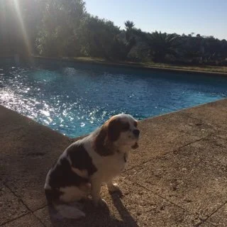Et c'est parti pour la baignade!