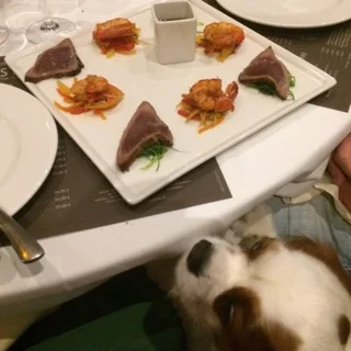 Dîner au top au Bistro Pastis à Saint-Tropez.