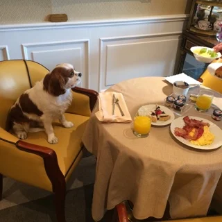 PETIT DÉJEUNER AVEC VUE SUR ST PIERRE DE ROME ...