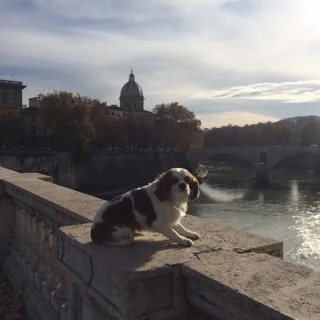 SOLEIL, TIBERE, TRASTEVERE, WHAT ELSE ?