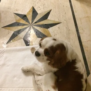 RIEN NE VAUT UN BON BAIN! 