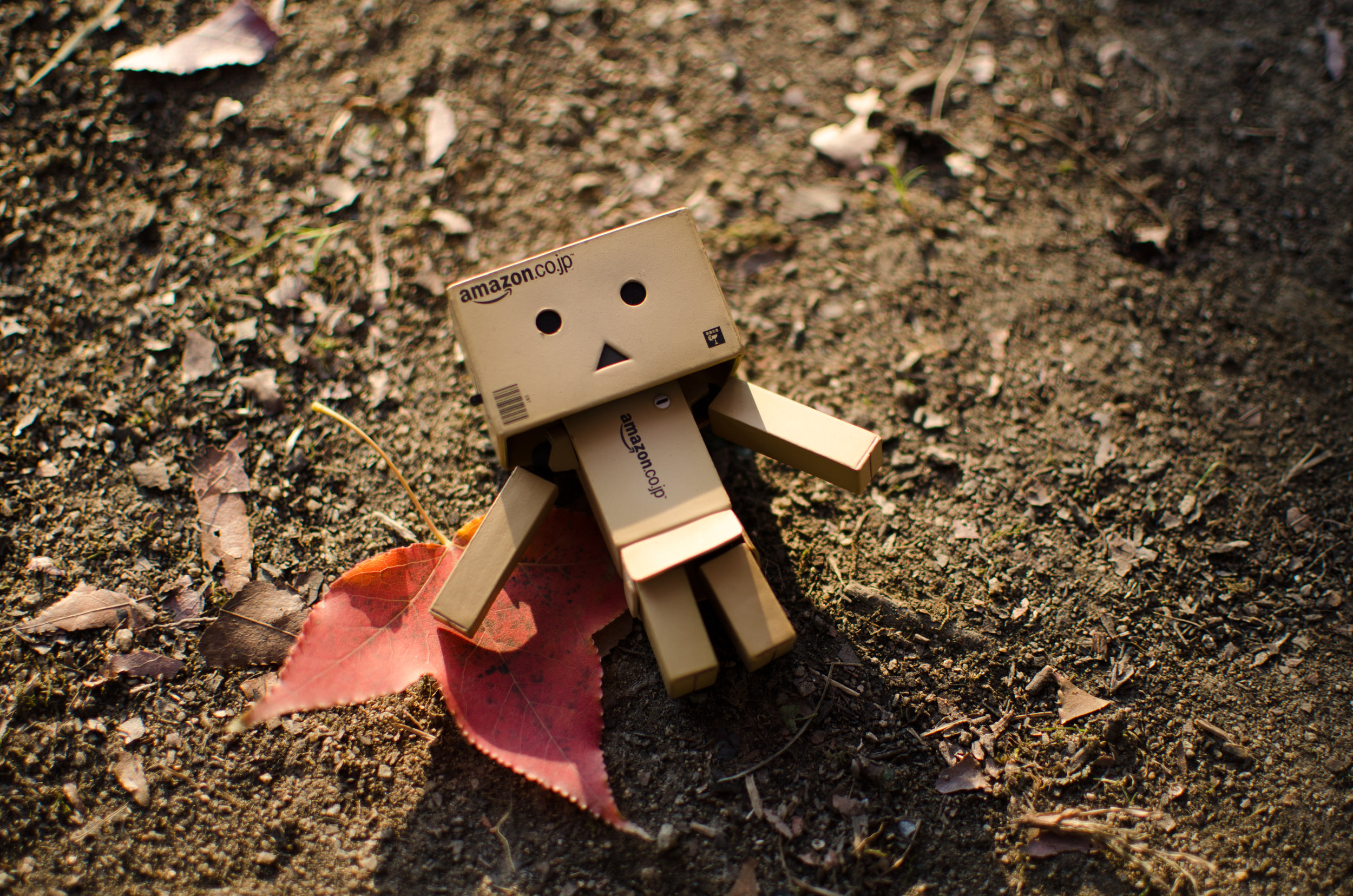 Cardboard.jpeg