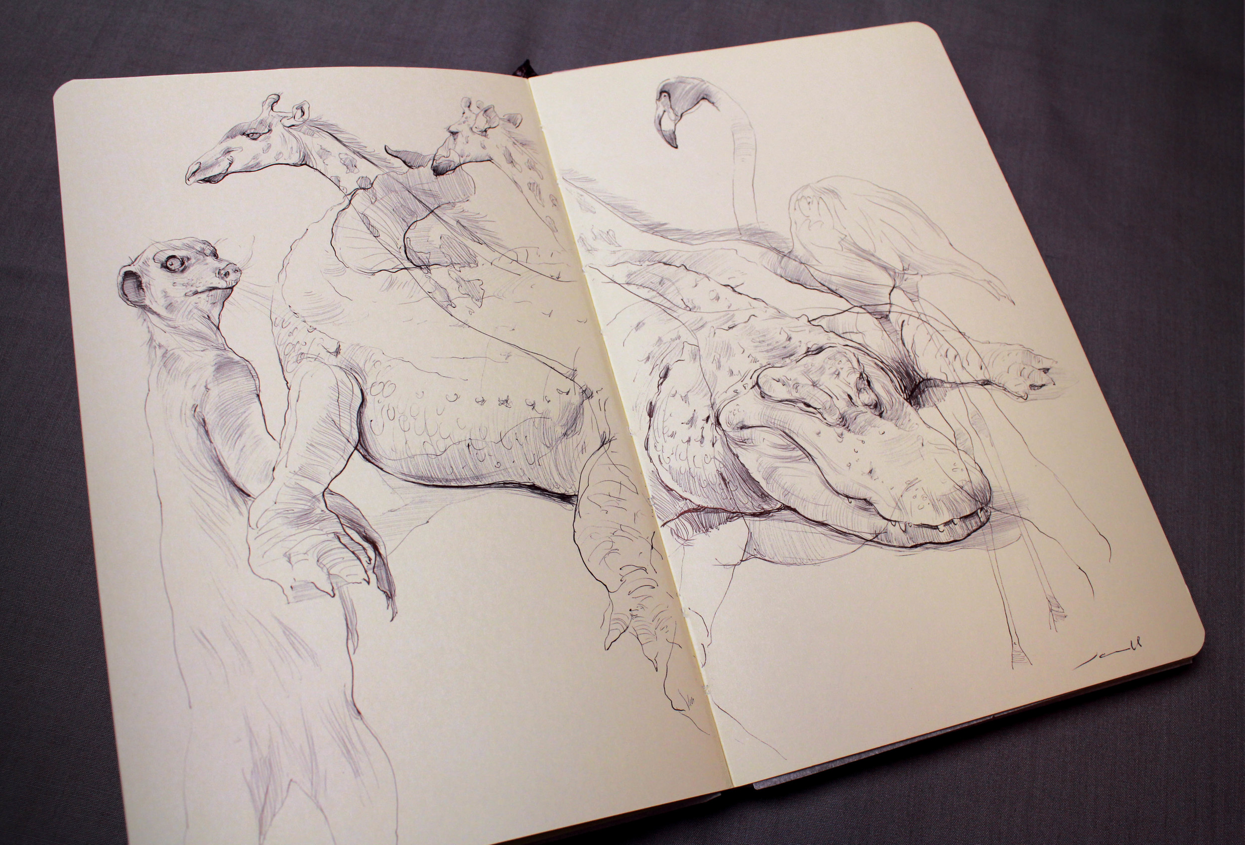 Croc and giraffe