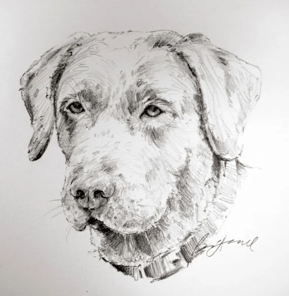 Mollie