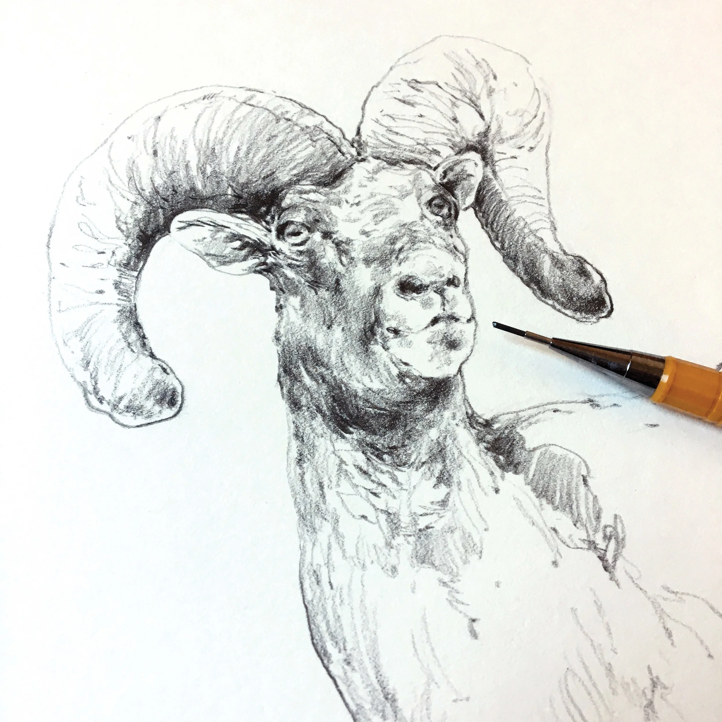 A little work in progress.