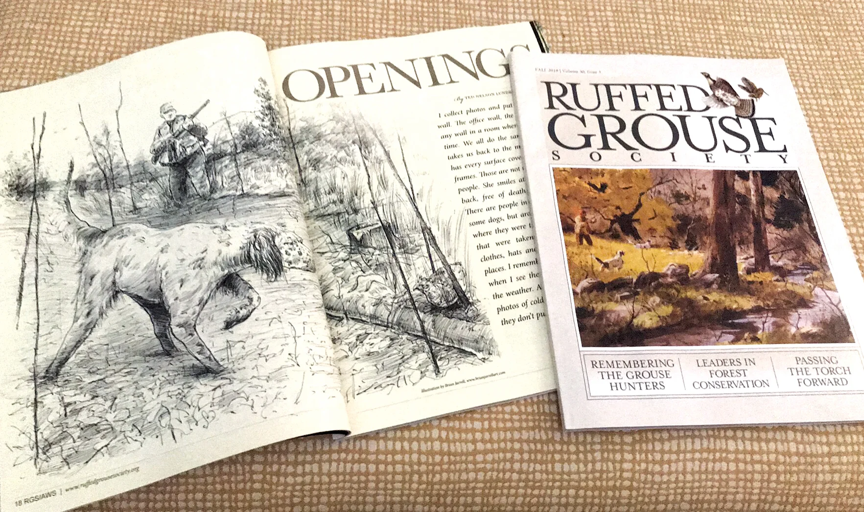 Ruffed Grouse Society (RGS / Fall 2018) is a very classy, very respected publication throughout the country, and I was thrilled to find out I had some artwork in it. Better yet, to open it up and see it's a full spread, accompanying a great author such as Ted Lundrigan!