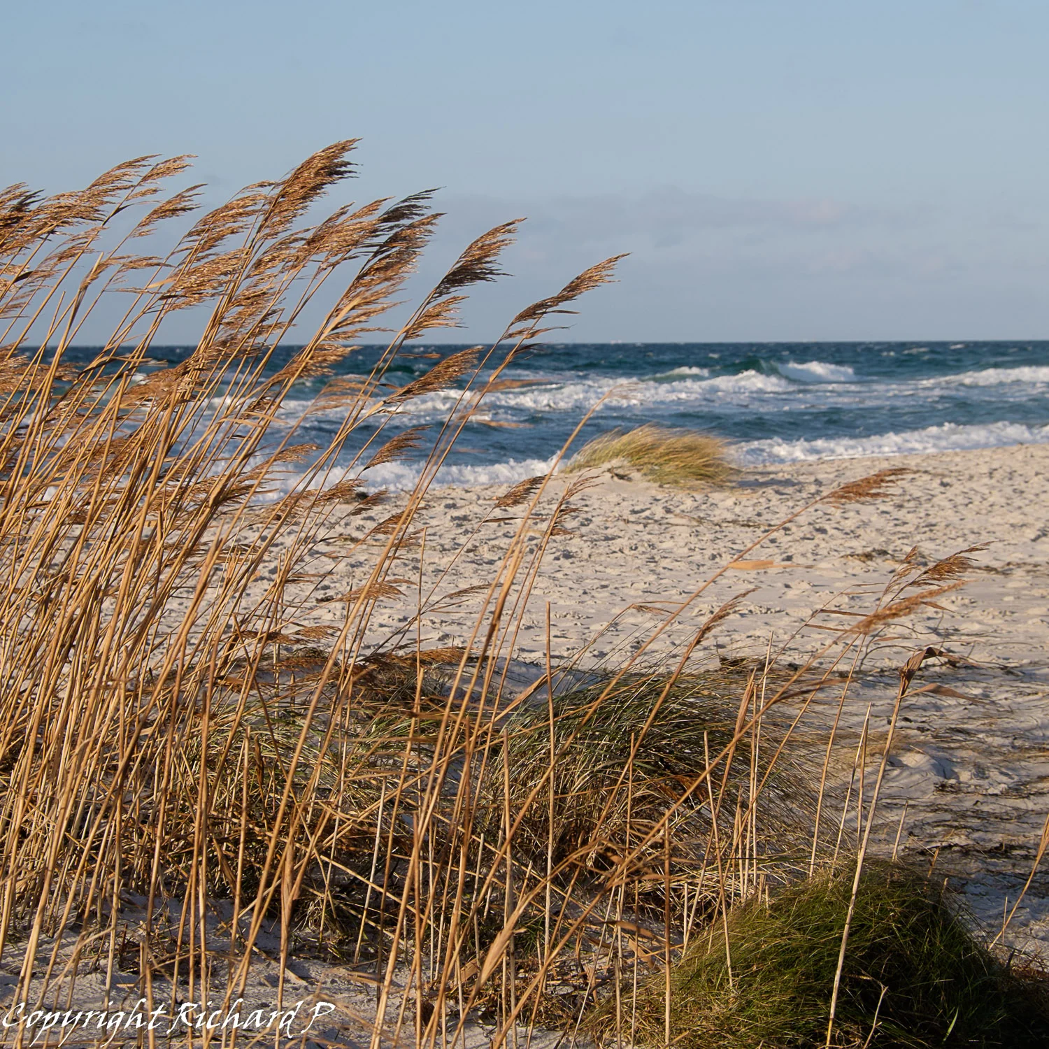 Vinter på Måkläppen