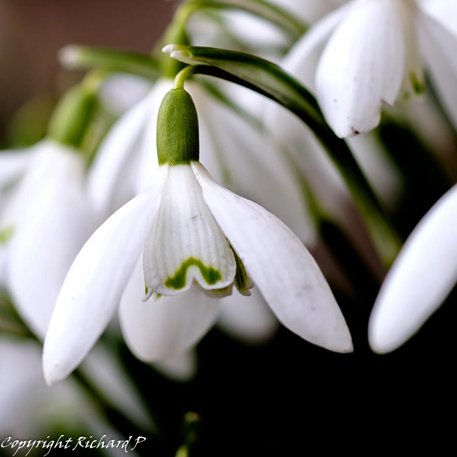 20150222-0008-2.jpg